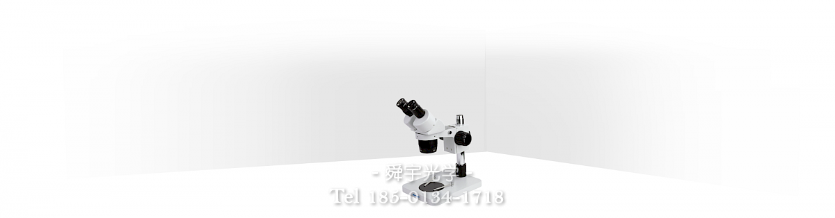 ST60体视显微镜
