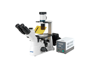 
XD活细胞观察荧光显微镜