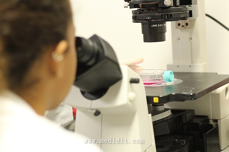 File:Biologist using inverted microscope 06.jpg