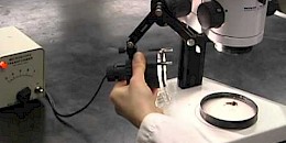 体视显微镜的工作原理和常用技术参数