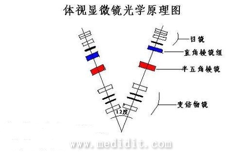 体视显微镜光学原理图