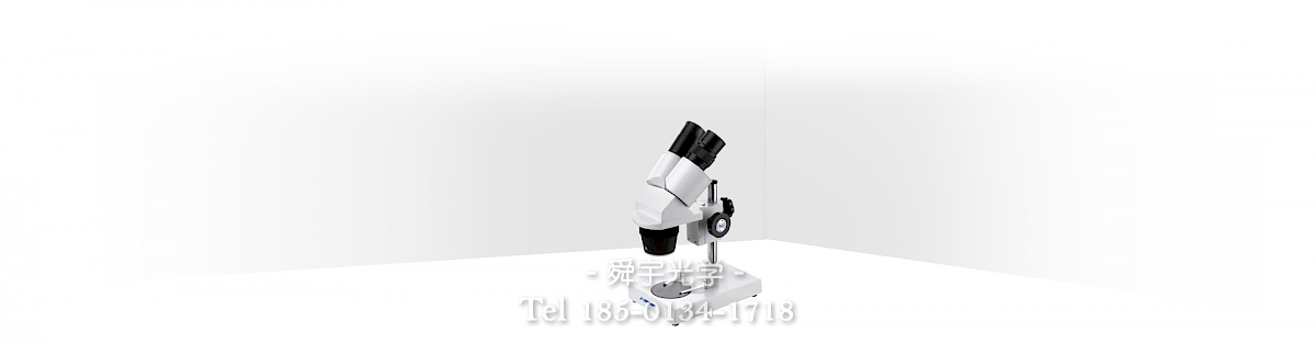 ST30体视显微镜