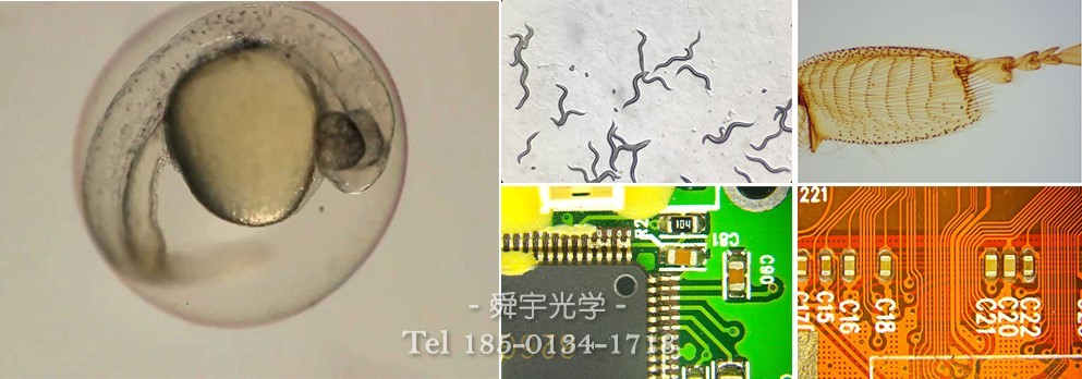 广泛应用领域