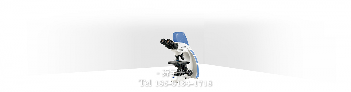 DMEX20系列生物显微镜