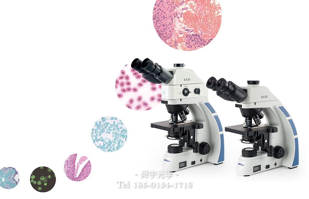 SOPTOP EX31系列生物显微镜