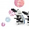 SOPTOP EX31系列生物显微镜