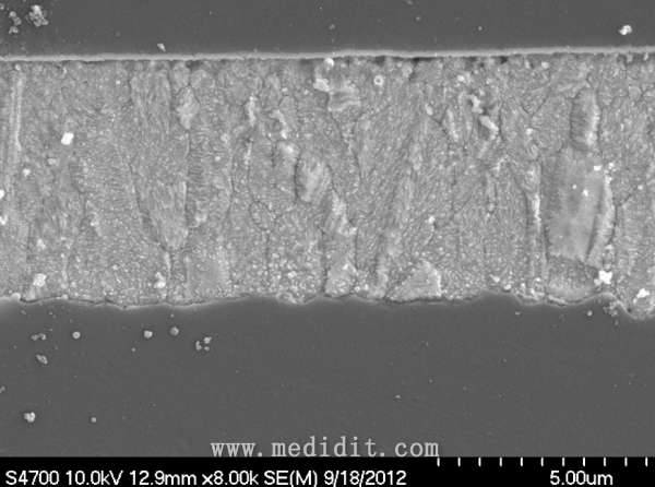 电镀铜薄膜SEM图片