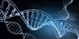 新的机器学习算法揭示了DNA的真相