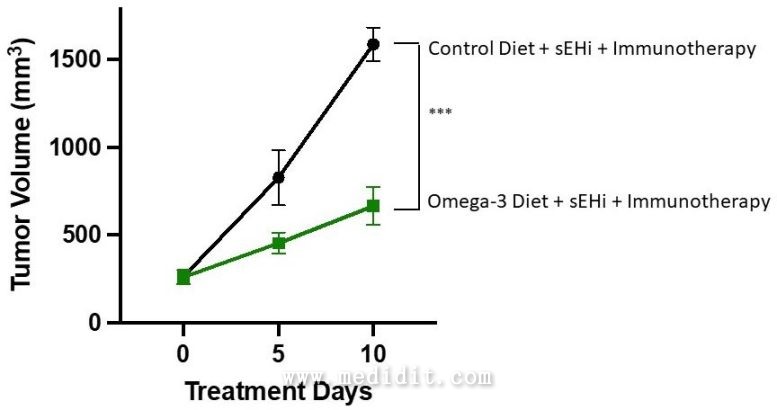 Omega-3 膀胱肿瘤