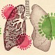 保护肺部免受流感损害的新医疗希望