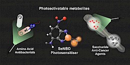 研究发现：光敏药物可作为特洛伊木马杀死癌细胞