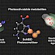 研究发现：光敏药物可作为特洛伊木马杀死癌细胞